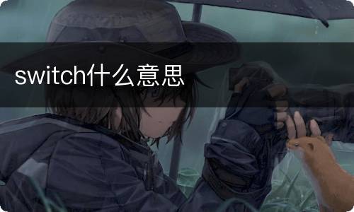 switch什么意思