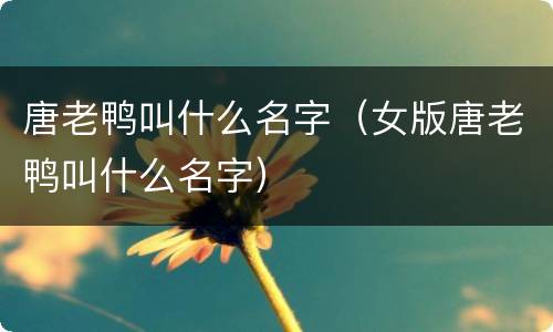 唐老鸭叫什么名字（女版唐老鸭叫什么名字）