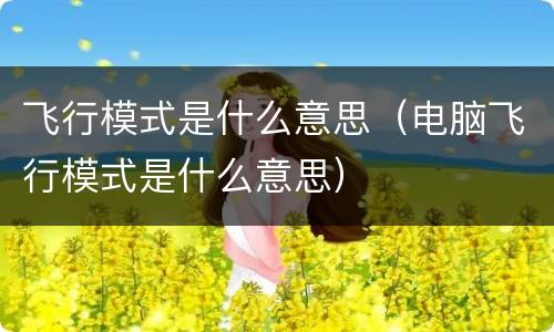 飞行模式是什么意思（电脑飞行模式是什么意思）