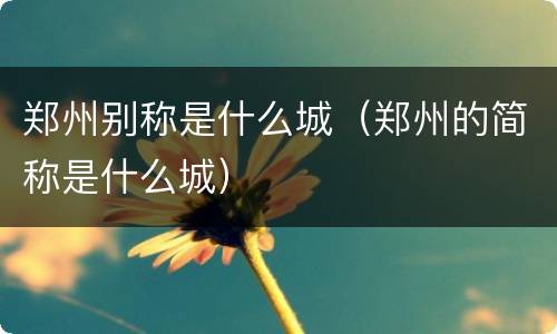 郑州别称是什么城（郑州的简称是什么城）