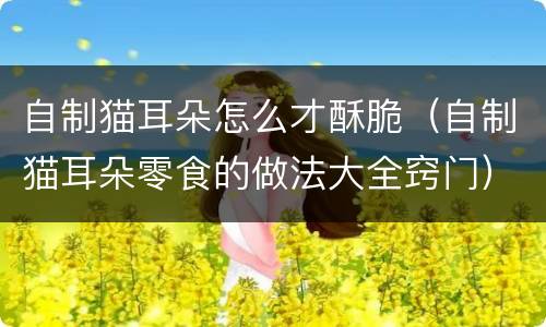 自制猫耳朵怎么才酥脆（自制猫耳朵零食的做法大全窍门）