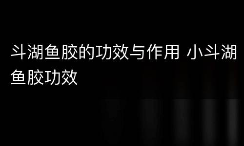 斗湖鱼胶的功效与作用 小斗湖鱼胶功效
