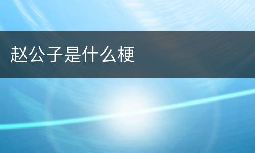 赵公子是什么梗