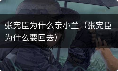 张宪臣为什么亲小兰（张宪臣为什么要回去）