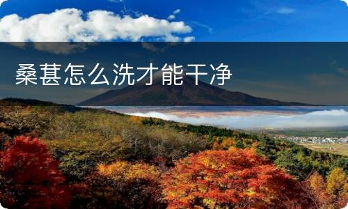 桑葚怎么洗才能干净