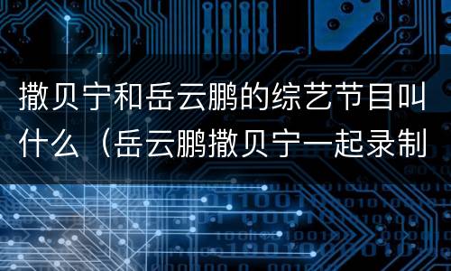 撒贝宁和岳云鹏的综艺节目叫什么（岳云鹏撒贝宁一起录制的综艺）