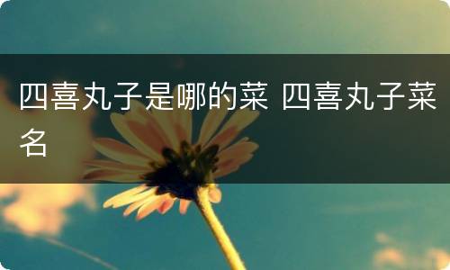 四喜丸子是哪的菜 四喜丸子菜名