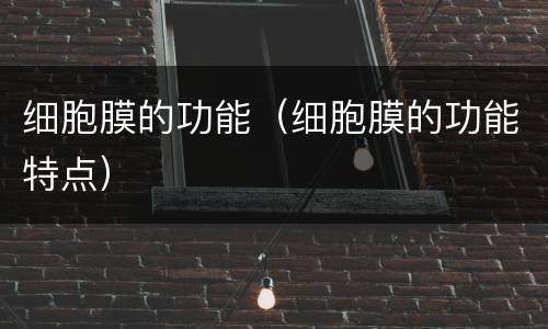 细胞膜的功能（细胞膜的功能特点）