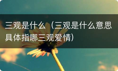 三观是什么（三观是什么意思具体指哪三观爱情）