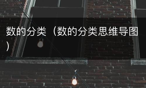 数的分类（数的分类思维导图）