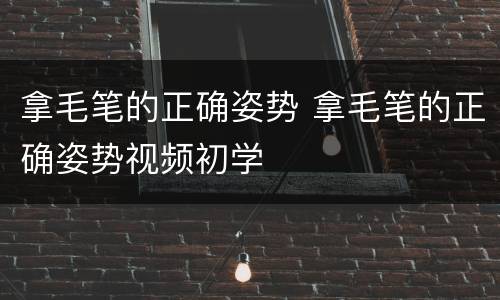 拿毛笔的正确姿势 拿毛笔的正确姿势视频初学
