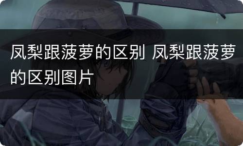 凤梨跟菠萝的区别 凤梨跟菠萝的区别图片