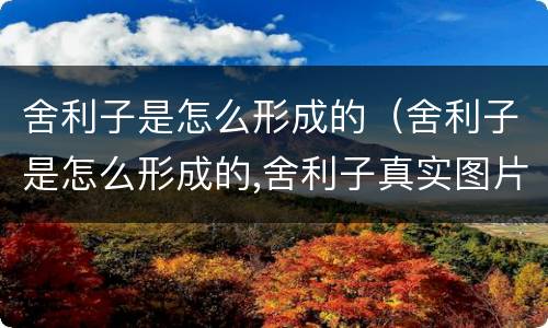 舍利子是怎么形成的（舍利子是怎么形成的,舍利子真实图片）