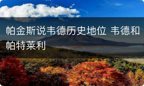 帕金斯说韦德历史地位 韦德和帕特莱利