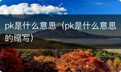 pk是什么意思（pk是什么意思的缩写）