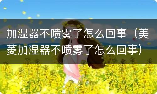 加湿器不喷雾了怎么回事（美菱加湿器不喷雾了怎么回事）
