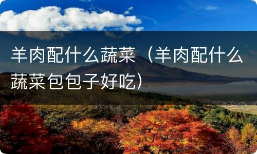 羊肉配什么蔬菜（羊肉配什么蔬菜包包子好吃）