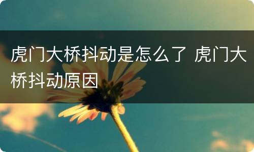 虎门大桥抖动是怎么了 虎门大桥抖动原因