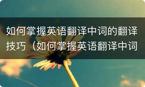 如何掌握英语翻译中词的翻译技巧（如何掌握英语翻译中词的翻译技巧）