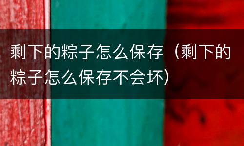剩下的粽子怎么保存（剩下的粽子怎么保存不会坏）