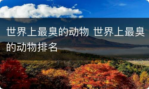 世界上最臭的动物 世界上最臭的动物排名