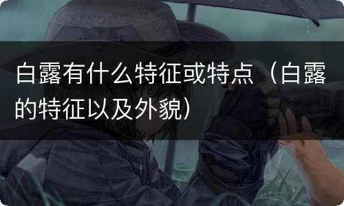 白露有什么特征或特点（白露的特征以及外貌）
