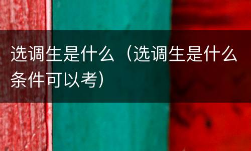 选调生是什么（选调生是什么条件可以考）