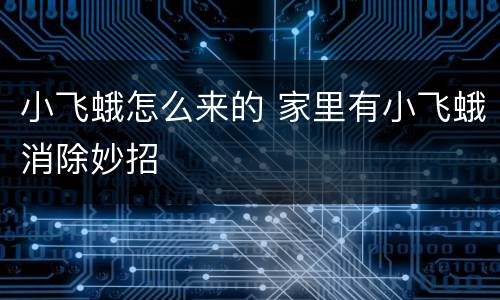 小飞蛾怎么来的 家里有小飞蛾消除妙招