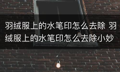 羽绒服上的水笔印怎么去除 羽绒服上的水笔印怎么去除小妙招