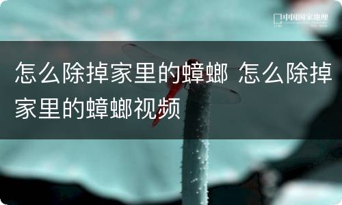 怎么除掉家里的蟑螂 怎么除掉家里的蟑螂视频