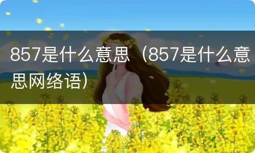 857是什么意思（857是什么意思网络语）