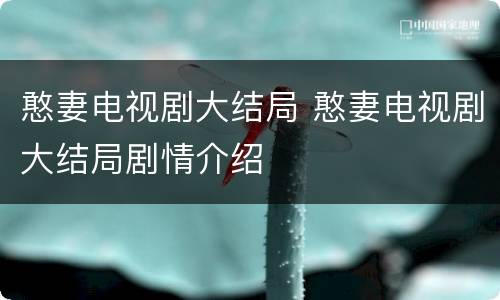 憨妻电视剧大结局 憨妻电视剧大结局剧情介绍