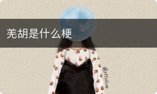 羌胡是什么梗