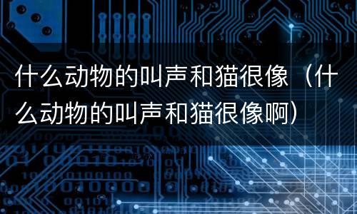 什么动物的叫声和猫很像（什么动物的叫声和猫很像啊）