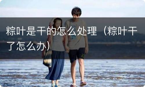 粽叶是干的怎么处理（粽叶干了怎么办）