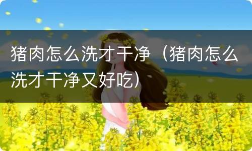 猪肉怎么洗才干净（猪肉怎么洗才干净又好吃）