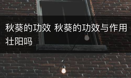 秋葵的功效 秋葵的功效与作用壮阳吗