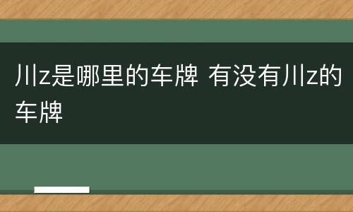 川z是哪里的车牌 有没有川z的车牌