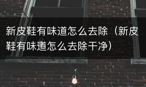 新皮鞋有味道怎么去除（新皮鞋有味道怎么去除干净）
