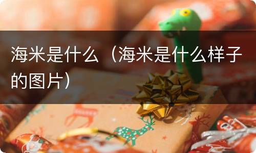 海米是什么（海米是什么样子的图片）