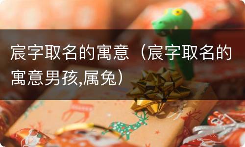 宸字取名的寓意（宸字取名的寓意男孩,属兔）