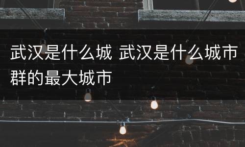 武汉是什么城 武汉是什么城市群的最大城市