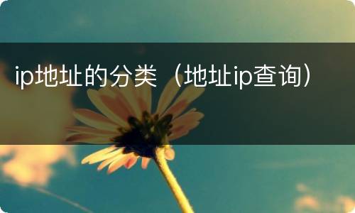 ip地址的分类（地址ip查询）