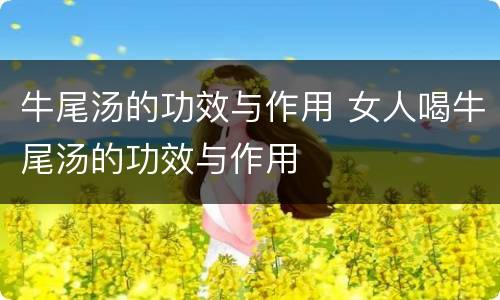 牛尾汤的功效与作用 女人喝牛尾汤的功效与作用