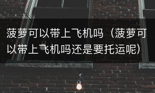 菠萝可以带上飞机吗（菠萝可以带上飞机吗还是要托运呢）