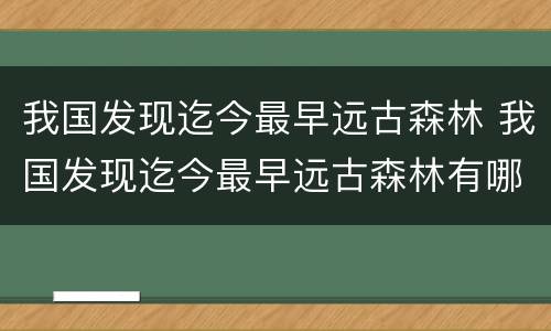 我国发现迄今最早远古森林 我国发现迄今最早远古森林有哪些