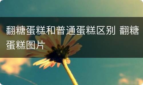 翻糖蛋糕和普通蛋糕区别 翻糖蛋糕图片