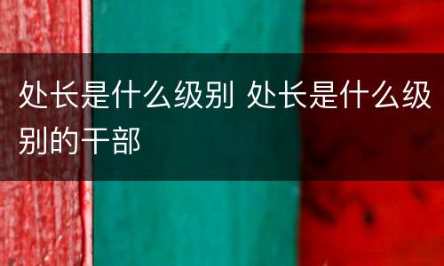 处长是什么级别 处长是什么级别的干部