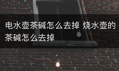电水壶茶碱怎么去掉 烧水壶的茶碱怎么去掉