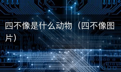 四不像是什么动物（四不像图片）